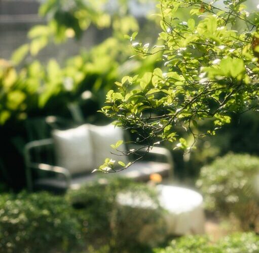 Tips for Creating a Relaxing Outdoor Space in Your Backyard