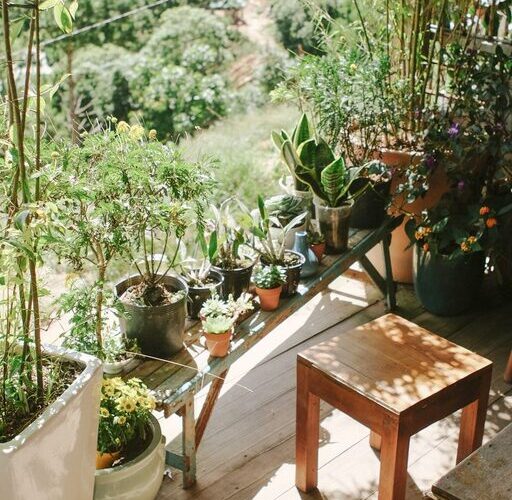 Tips for Creating a Cozy and Inviting Outdoor Living Space at Home